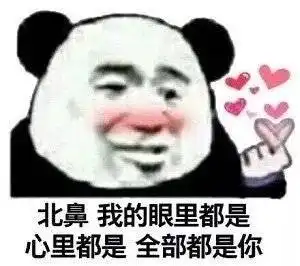 微信斗图表情包土味情话熊猫头微信恶搞