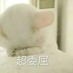 七年之痒

