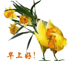 早安祝福问候语短信早上好表情问候动态图片大全

