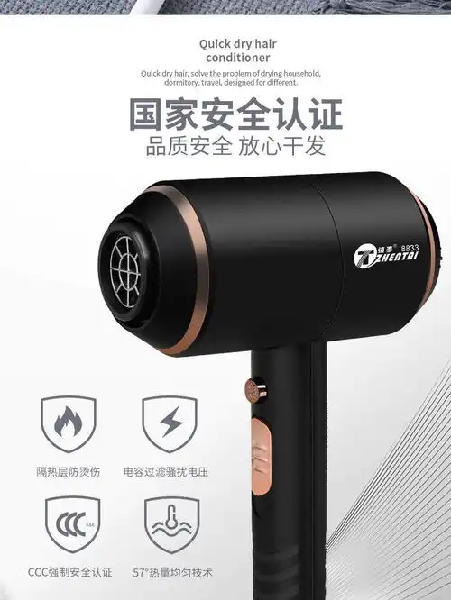 镇泰电吹风发廊理发店小型吹风筒不伤发冷热
