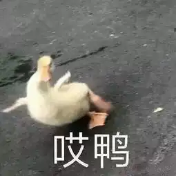 吃完瓜还是要看新闻滴这周那些事儿
