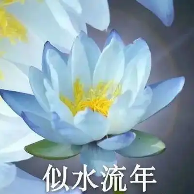 中老年人头像风景和花老年人专用微信头像
