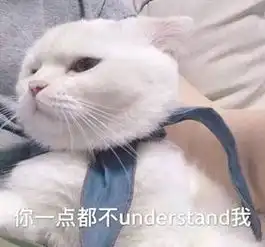 一身毛茸茸,你以为是卖萌,其实ta是玩命啊
