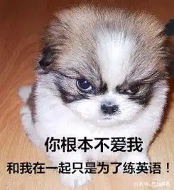 自学雅思的好处,你根本想象不到
