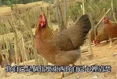 20个沙雕脑筋急转弯,答对一个算我输

