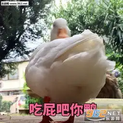 吃屁吧你鸭表情包气成鼠片表情包下载乐游网游戏下载
