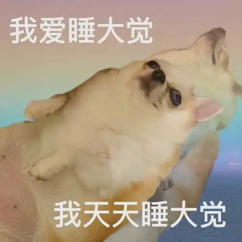 慢慢21.酒局入职hx集团先婚后爱追妻
