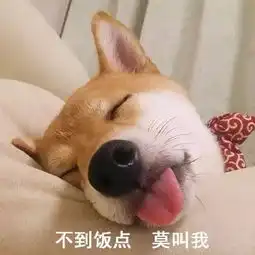 聊天怎能少了这些表情包呢
