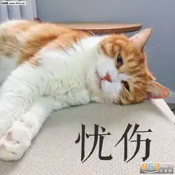 你说啥我没戴眼镜听不见系列橘猫搞笑表情图片满脸都写着高兴橘猫表情包下载乐游网游戏下载
