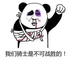 真德秀阿杜主动加盟骑士
