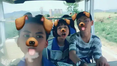带这种狗狗表情这个拍照软件叫什么faceu还是snow还是其他我找了好半天没有
