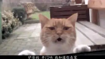咸鱼少年的个人频道
