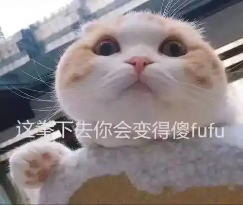 奇奇怪怪的表情包聊天必备
