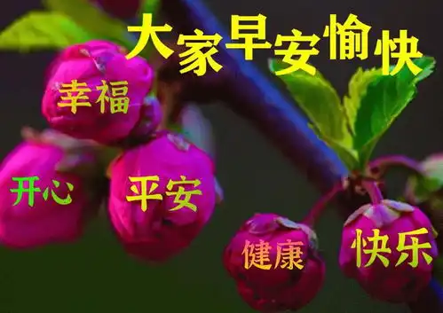 6月22日最漂亮早上好动态表情图片大全,早晨好动图美图大全
