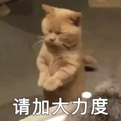 吊打小米mixoppo旗舰findn上手体验
