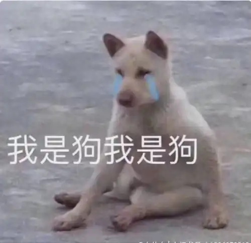 提了辞职以后,领导让你再考虑几天
