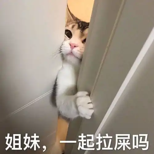 有趣的思想
