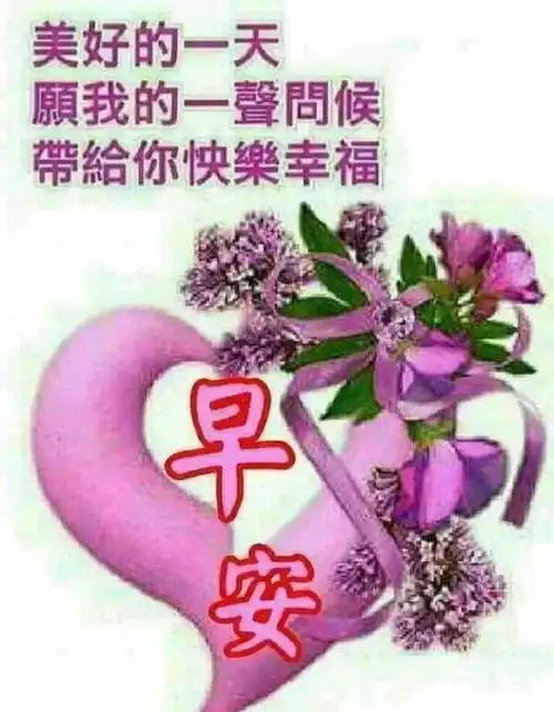 2020早上好动图早安表情早安问候,祝福大家早上好问候语温馨句子
