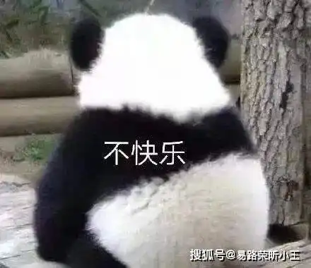 同样是瓷砖,怎么价钱相差这么多