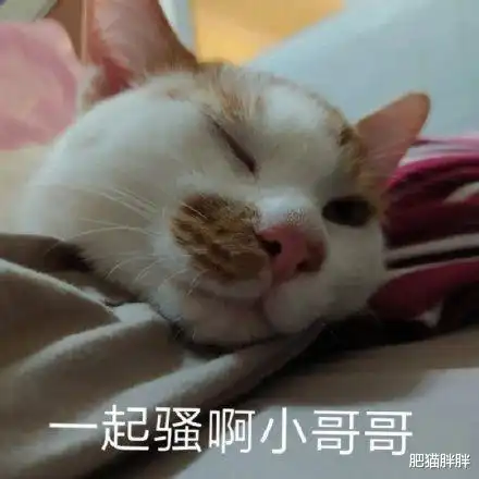 图一是我亲妹妹做的,图二朋友妹妹做的,到底是哪一步程序出错了哈
