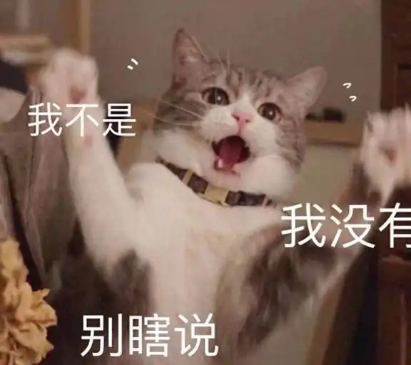 若一只猫10年不绝育,它的身体会有什么变化
