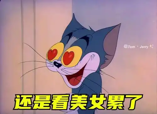 你不来信息,一定是累了吧来喝碗汤提提神猫和老鼠表情包
