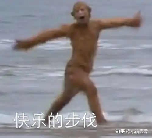 芝加哥艺术学院saic视觉传达设计和纽约视觉sva插画专业专业,怎么选从将来发展角度考虑
