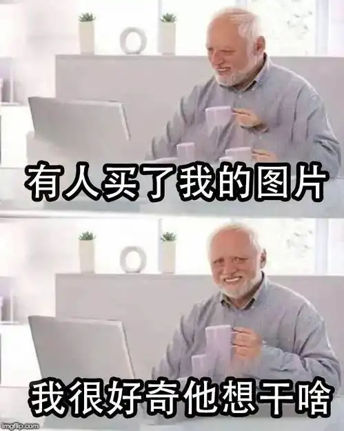 外网上的付费图片,被网友们玩坏变成了表情包......
