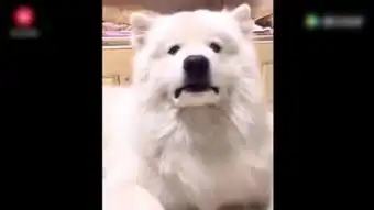 然后