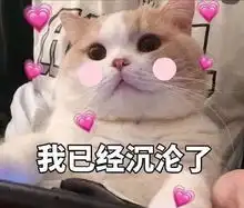 连衣裙就买这5条能让你美一整个春夏
