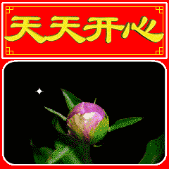 2024年4月5日星期五早上好问候祝福动态表情图片大全周五最新早安问候语动态图片表情
