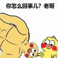 表情包你是怎么回事,小老弟
