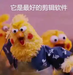 一款专为小白设计的短视频软件,妈妈再也不用担心我不会剪辑了
