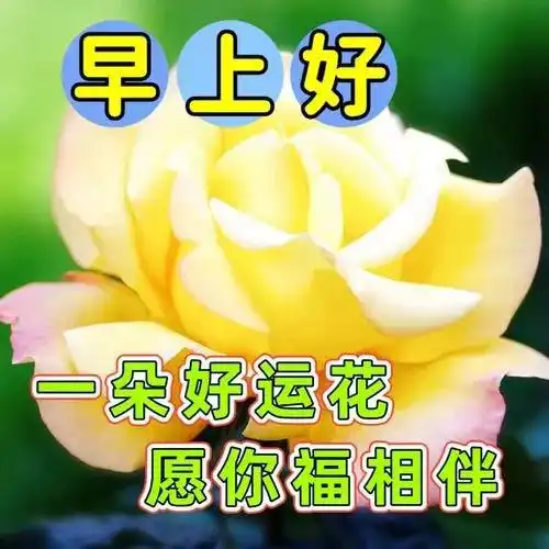 4月12日最新早上好温馨问候语,早安精美图片,真诚祝你吉祥如意
