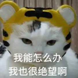 299元遇见醉美雪景,广东海拔最高玻璃桥

