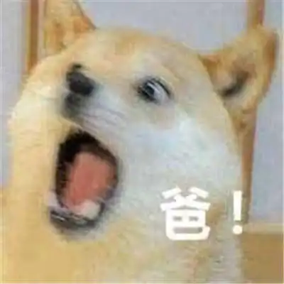 跟老爸撒娇要钱的表情包大全

