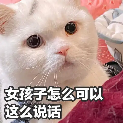 斗图必备的搞怪表情包
