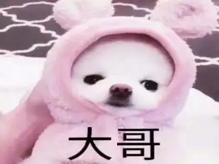 奔跑吧兄弟之无尽系统
