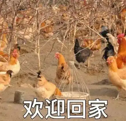 沙雕表情包四倍鸡笼警告
