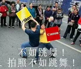 表情与斗图不如跳舞表情包谈恋爱不如跳舞
