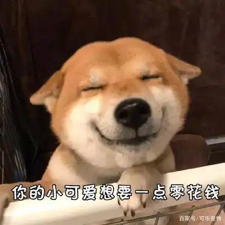 年度最搞笑的狗狗表情包都在这里了,看到这么傻的狗子,你笑了吗
