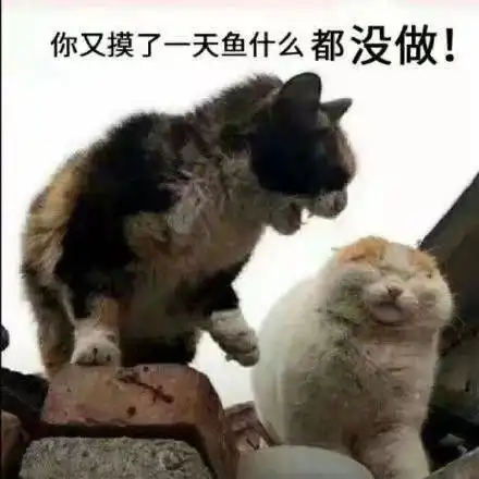 聊天表情包拿图片没事,继续说,我没生气啊
