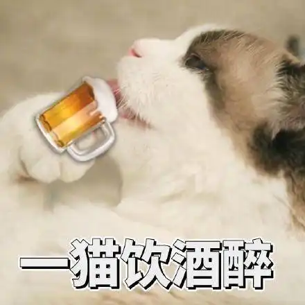 新版全是猫表情包来了,哈哈太逗了
