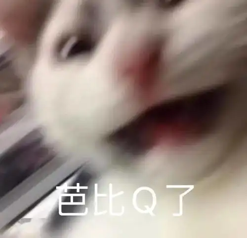 完了芭比q了丨第297期表情包
