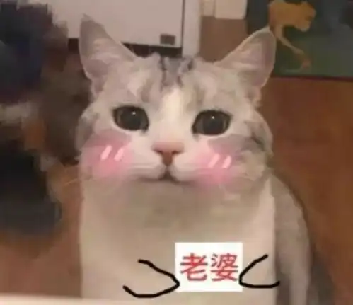 搞笑段子他嘿嘿一笑哥,你看样子,爸可能会在家吗...
