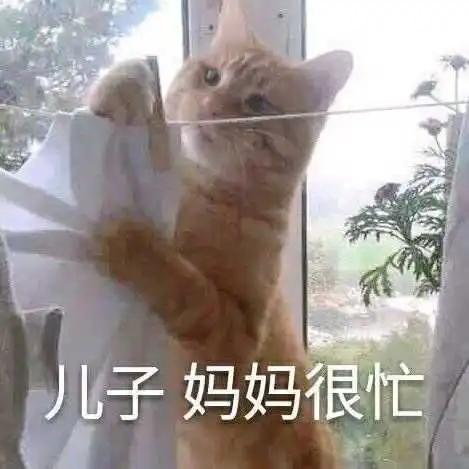 你认为最沙雕最搞笑的表情包是那些

