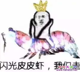 皮皮虾是什么梗出处介绍皮皮虾我们走是什么意思
