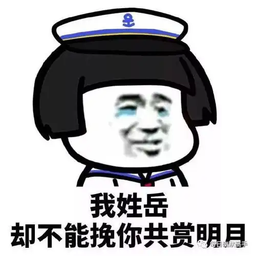 我姓李,却进不去你心里
