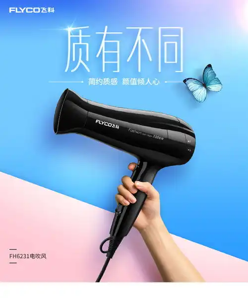 飞科flyco吹风机家用静音大功率电吹风fh6231专业电吹风机发廊电风筒

