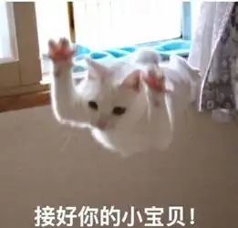 白猫是不是较其他毛色的猫咪脾气更差
